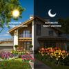 Waterproof Solar Azalea Garden Decor with Always-on & Flashing Modes