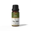 Ananta Tea Tree Essential Oil 10 Ml | Herbal Aromatic Oil | Diffuser & Home Fragrance Use