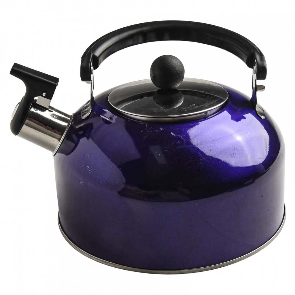 2L Whistling Kettle Stainless Steel Stovetop for Gas Electric Induction