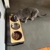 Elevated Cat Bowls 15° Tilted Raised Pet Feeder with 3 Stainless Steel Bowls Food Water Feeding Station for Cats & Small Dogs