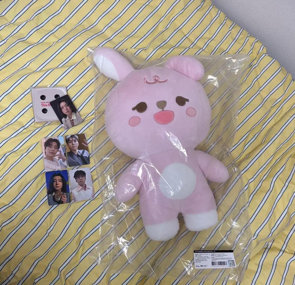 DAY6 Japmalfil (unopened)