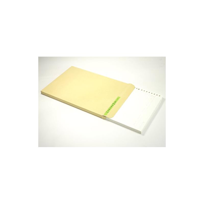 KOKUYO Three-Color Loose-Leaf Paper, B5 Size, Cash Book, 26 Holes, 100 Sheets, RI-101