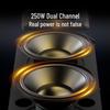 SANSUI T26 Dual 6.5-inch Outdoor KTV Trolley Speaker with Mics (CN Version)