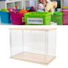 Clear   Display Case Plastic Display Box for Collectibles Doll Home Storage Organizing Toys Wood Base 14.3x8.7 .7in