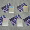 Playve Caligo Part Two Japanese Postcard Photocard Album Set