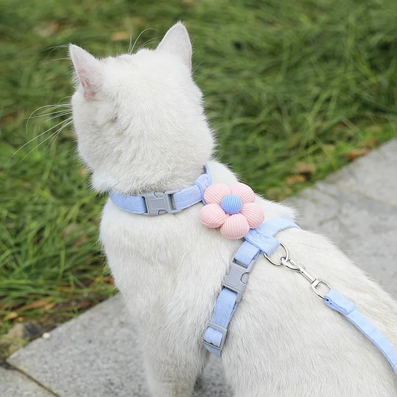 Collars and Guides for Cats Pets Kittens Supplies Collar Kitten Pet Goods Products Accessories Things Leash Chain the Animals So