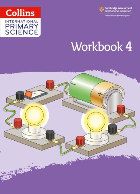 The International Primary Science Workbook: Stage 4 Book