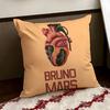 BBruno Mmars Singer Cushion Cover Reversible Soft Durable Pillow Cover Home  Car MultiScene Use for Daily Comfort