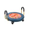 Balance Board Scooter for Indoor Use with Handles Children