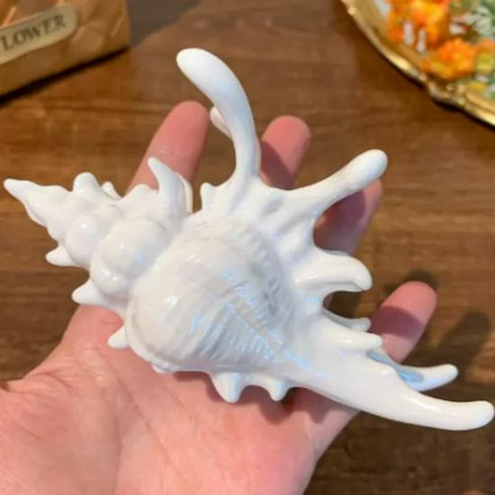 Elegant Seashell Claw Hair Clip - High-End Niche Design for Stylish Updos