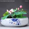 Großer Keramik-Lotus Seerose Hydroponischer Blumentopf ohne Abfluss