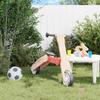2 In 1 Kids Scooter