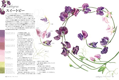 Botanical Color Palette