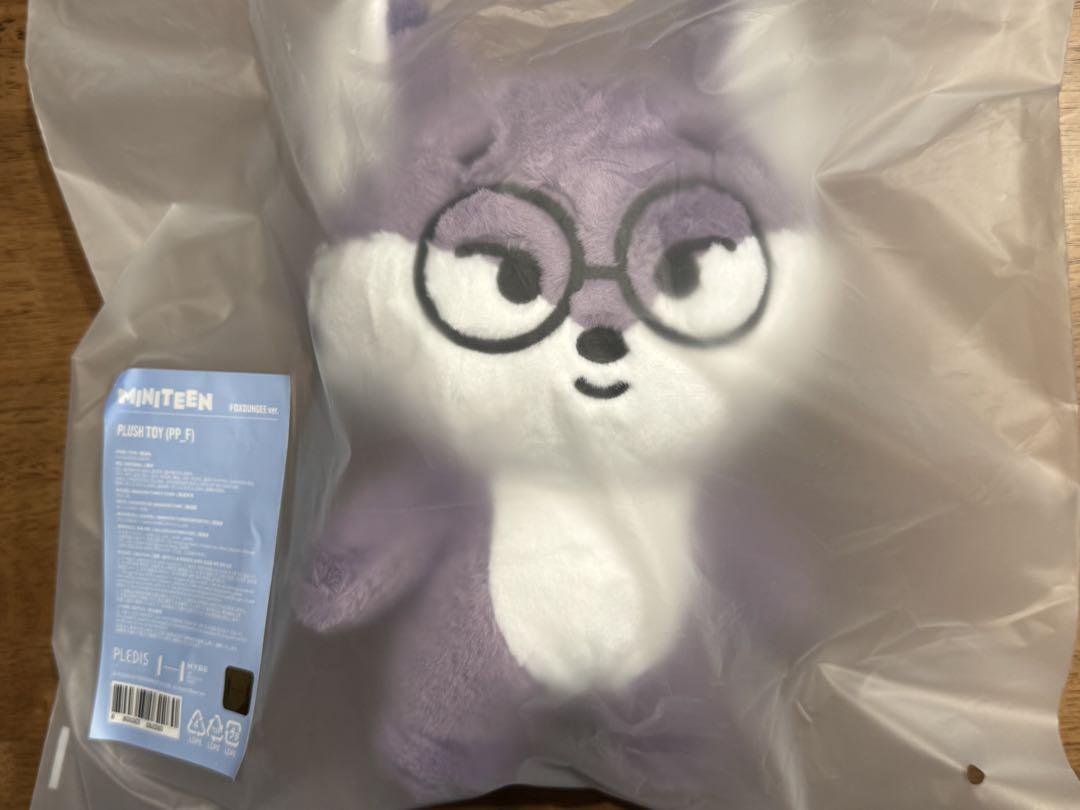 

[USED] MINITEEN Pop-up Wonwoo Plush Toy Seventeen