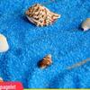 Sky Blue Fine Quartz Sand for DIY Micro Landscapes