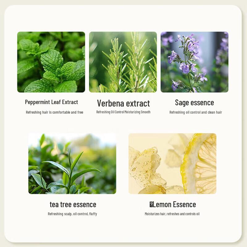 Cienvina Szampon Zwiększający Objętość i Kontrolujący Sebum z Ekstraktami Roślinnymi 480ml