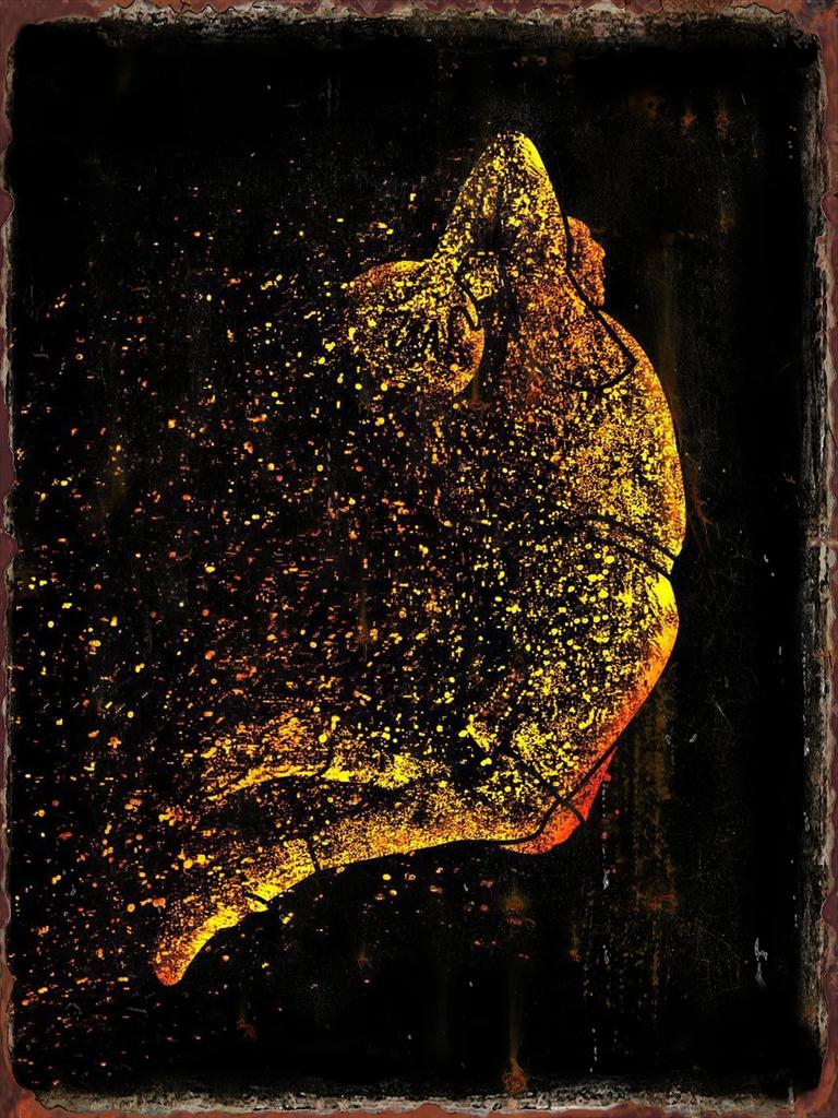 Basketball Colorful Metal Tin Signs Sports Venues Decoration Poster NBA Match Hall Wall Decor Plaques Home Art Hanging Pictur