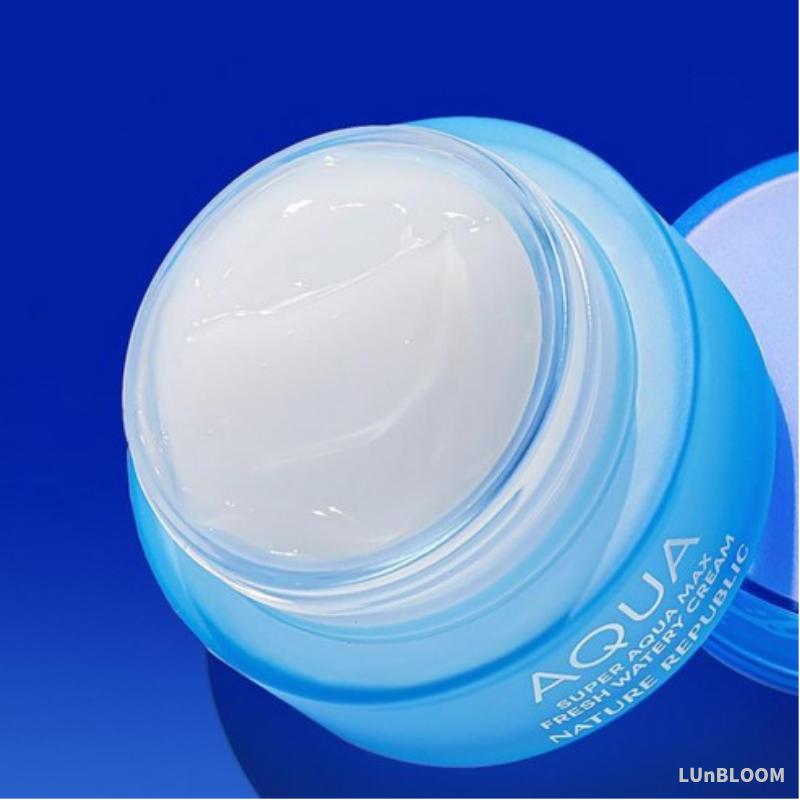 Nature Republic Super Aqua Max Moisture Cream 80ml
