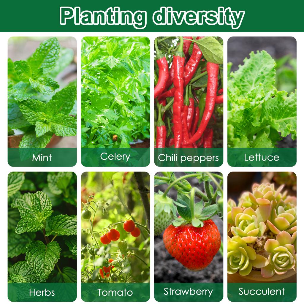 50 szt. Gąbki do uprawy Hydroponiczne korki startowe Ogrodnicze gąbki do rozsady Gąbki z nacięciem skośnym Podłoże do siewu i sadzonkowania