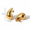 Women's 18K Gold Plated Stainless Steel Water Drop Earrings - Simple Light Luxury Fashion 