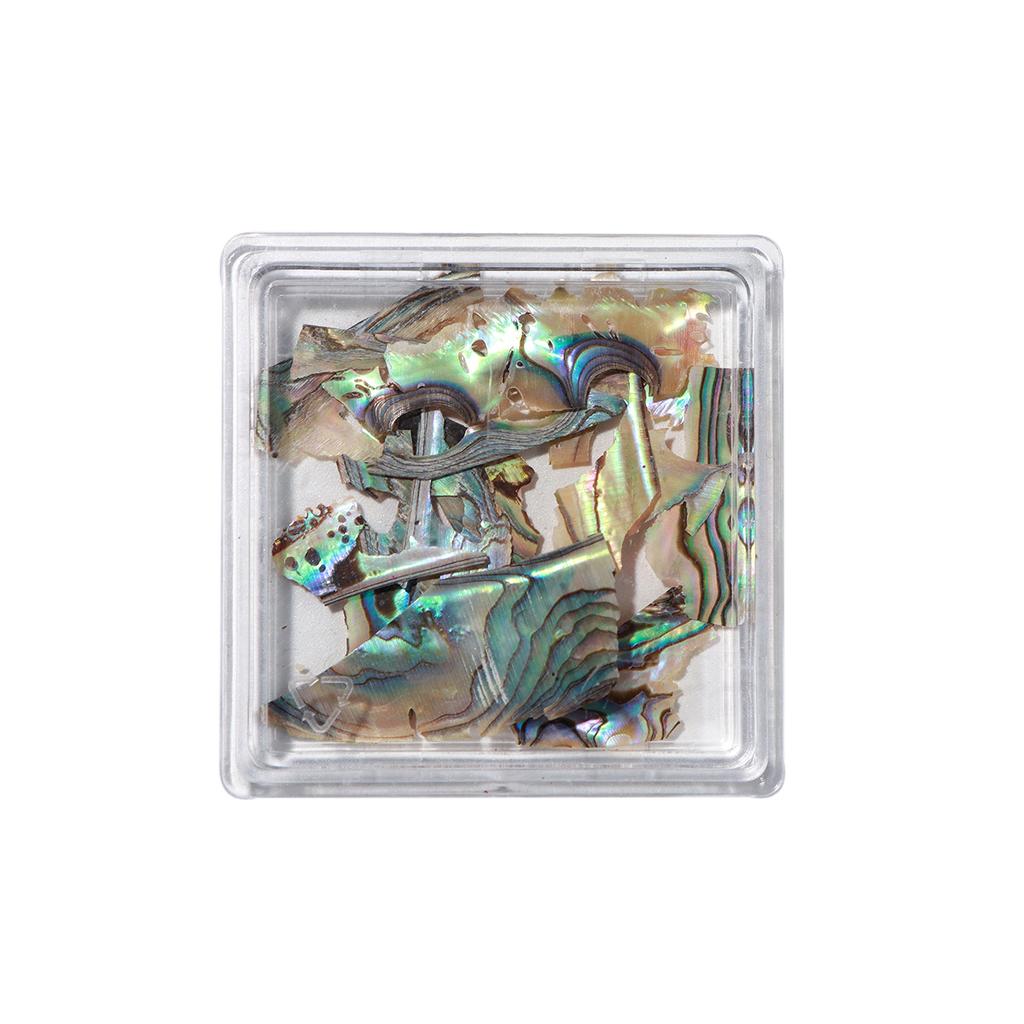 New nail art shell sequins ins ultra-thin abalone fragments shell box ornaments