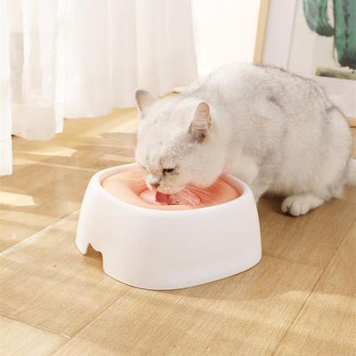 Spill Proof Water Bowl For Dogs Slow Drinking Bowl For Messy Drinkers Large Capacity Pet Puppy Kitten Drinking Dispenser
