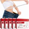 Diet Patch for Arm Fat, Belly Fat, Underarms, Toxin, Fat Breakdown, Weight Loss Adhesive Diet, Slimming, Body Detox, Balance, 5 Patches, 5 Pcs