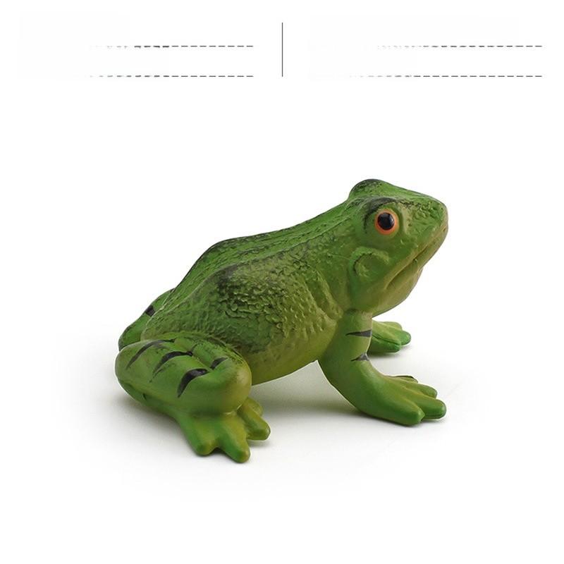 Wildlife Pvc Animal Models With Realistic Frog Collection For Children Educational Decor