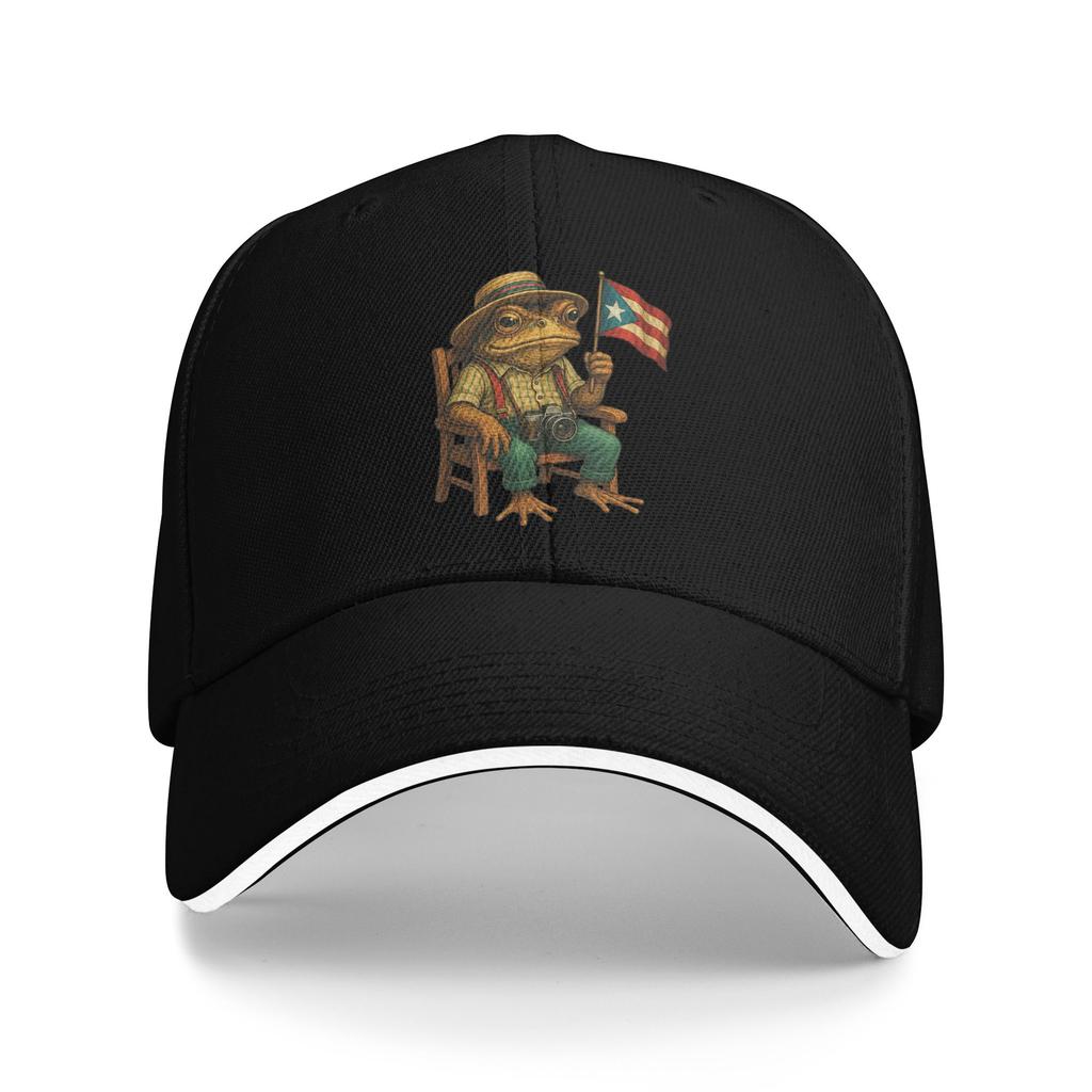 Coqui Frog Puerto Rico Flag Puerto Rican Casual Baseball Cap  Tennis Skate Trucker Hat Fashion Baseball Caps
