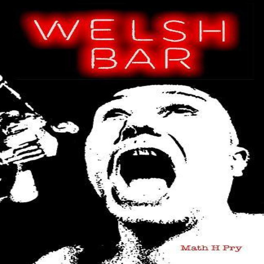Welsh Bar by Math Pry Paperback Book 9781899750511