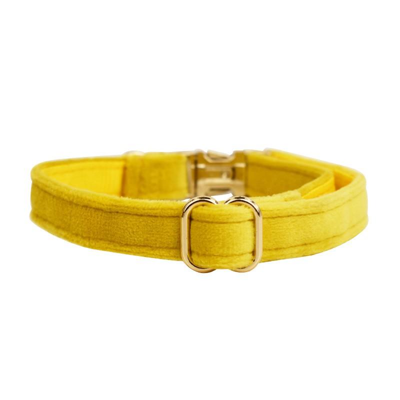 Yellow Velvet Cat Collar With Cute Bell Bow Small Dogs Pet Supplies