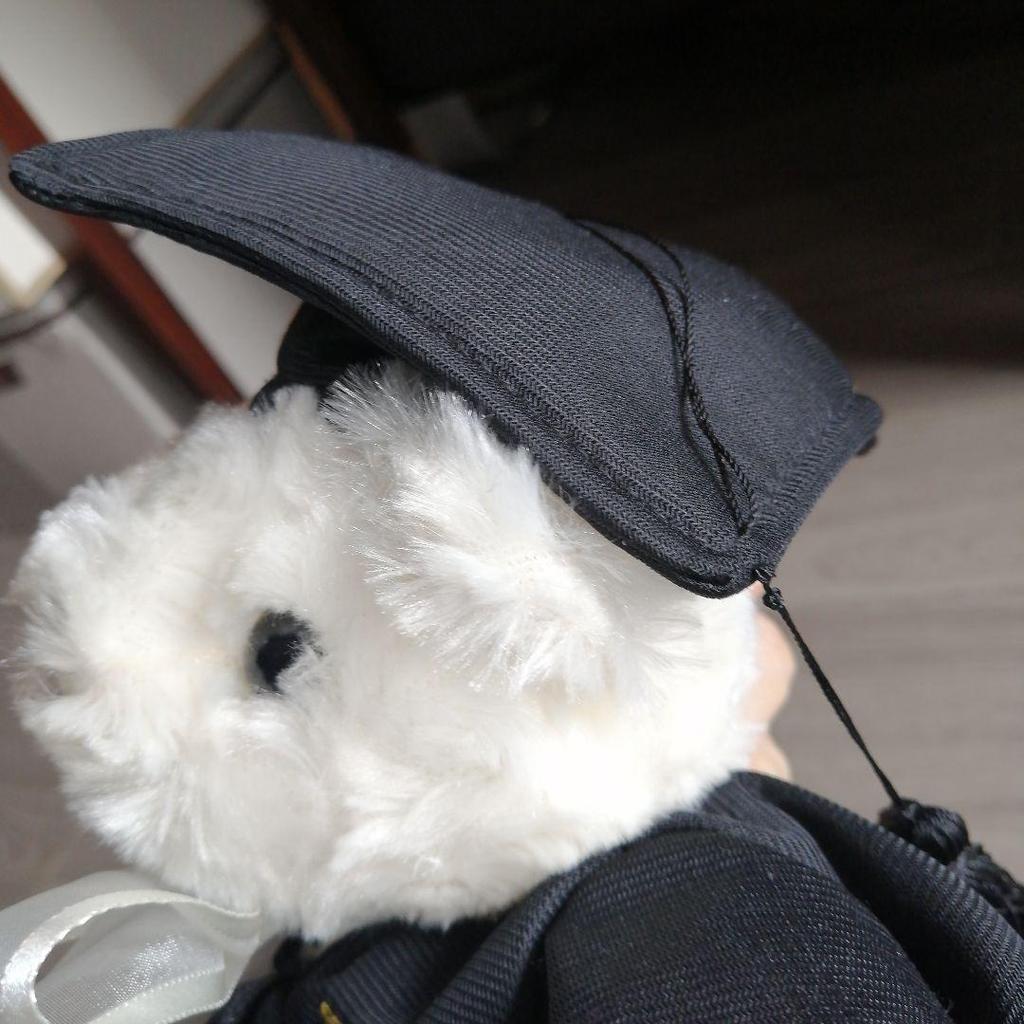 [USED] Extremely Rare Seoul National University Graduation Commemorative Teddy Bear