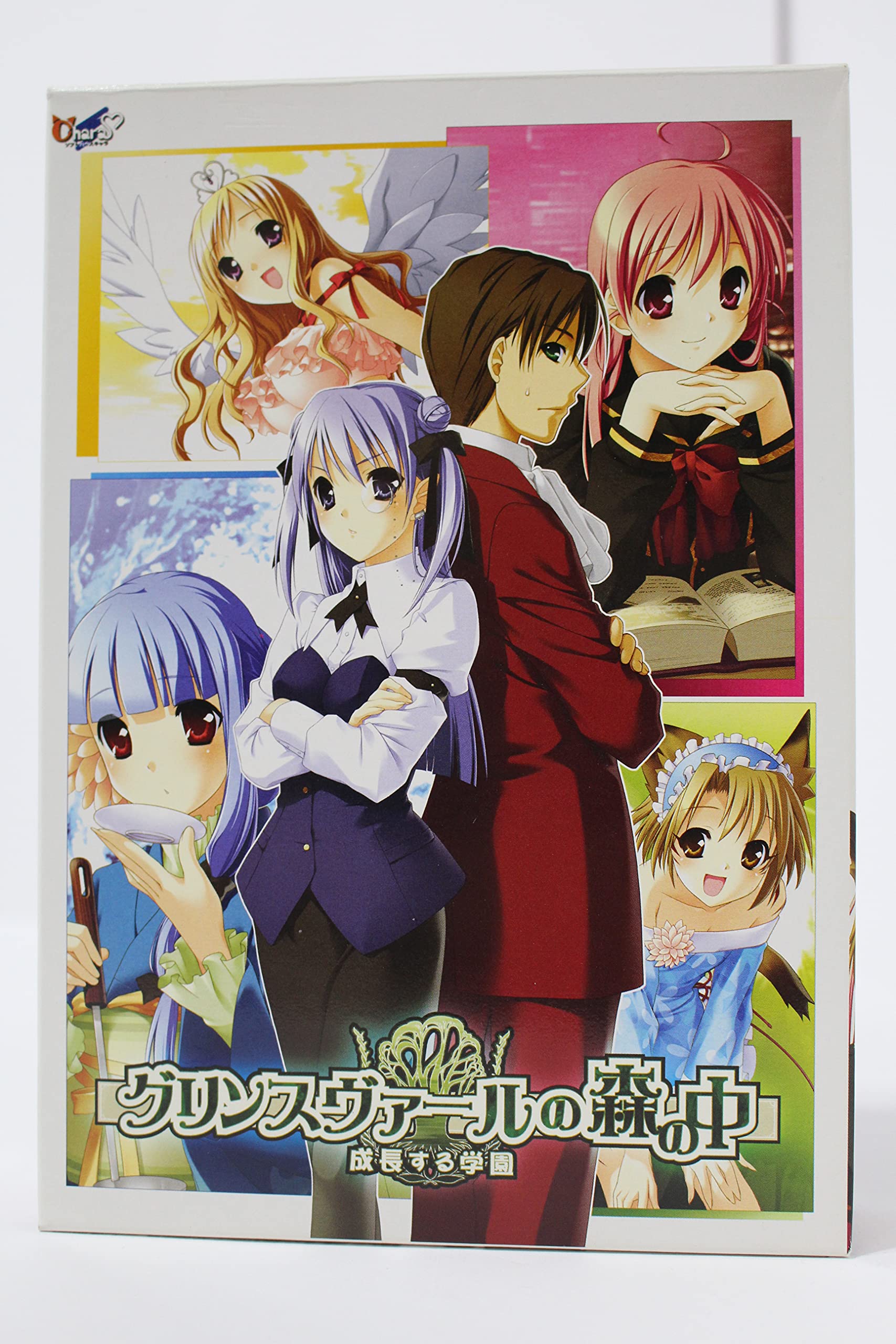 

In the Forest of Grinsvaer -Growing School-