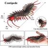 MAIBED Centipede Figure, Centipede Model, Chilopoda, Toy, Stress Reliever, Arthropod, Plastic Model, Realistic, TPR Material, Decorative Ornament, OpJ