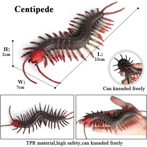 MAIBED Centipede Figure, Centipede Model, Chilopoda, Toy, Stress Reliever, Arthropod, Plastic Model, Realistic, TPR Material, Decorative Ornament, OpJ