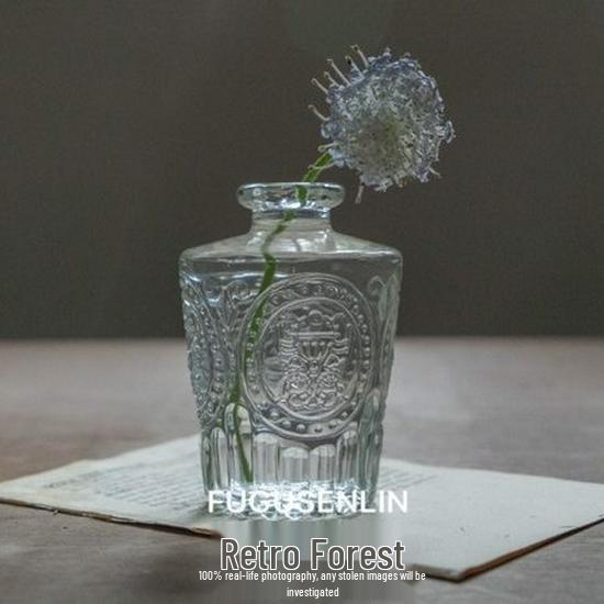 Small French Retro Glass Vase for Flowers and Hydroponics