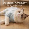 Macacão Respirável para Gato com Acabamento em Renda, Fino para Verão Anti-Queda de Pelo Roupa para Pets de 4 Patas para Filhotes e Gatos, 5 Tamanhos