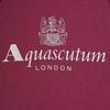 Aquascutum Mens Active Big Logo Hoodie