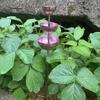 Handmade 3-Tiered Bird Bath Three-layer Bowl Bird Water Bowls Birdbath Stand  Patio
