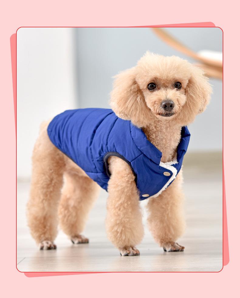 Warme, wasserdichte Baumwollweste für kleine und mittelgroße Hunde – Samtgefütterte Haustierbekleidung für Herbst und Winter