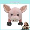 Adorable Slumberland Pig Plush Toy Soft Stuffed Animal Dolls For Kids And Babies