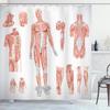 Menschlicher Körper Duschvorhang Illustration Badezimmer Dekor, Wissenschaft Menschliche Anatomie Duschvorhänge, Skelett Schädel Stoff Badezimmer Set