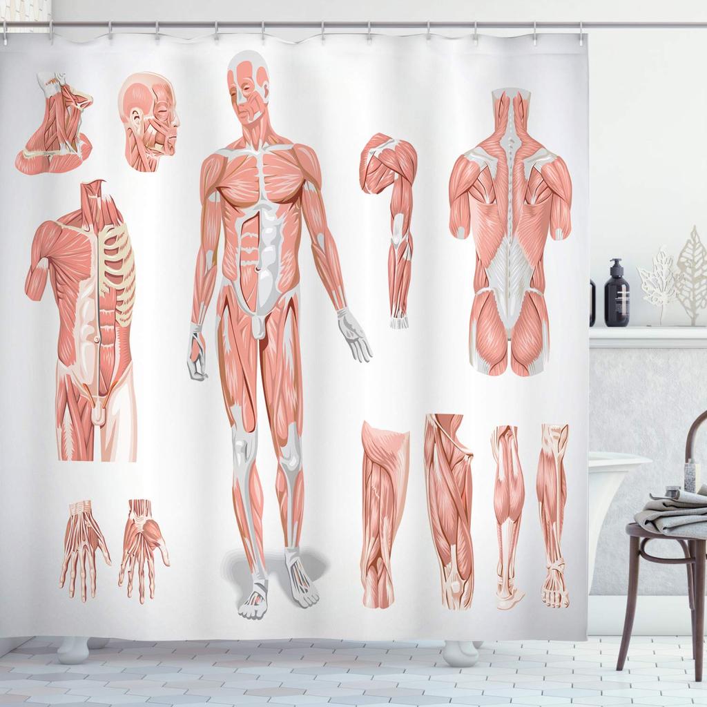 Menschlicher Körper Duschvorhang Illustration Badezimmer Dekor, Wissenschaft Menschliche Anatomie Duschvorhänge, Skelett Schädel Stoff Badezimmer Set