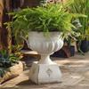 Pedestal Urn with Handles Vintage Container Antique for Photographers