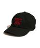 Deoneodijeu Nerd Ball Cap - Black / Nstsac01Black