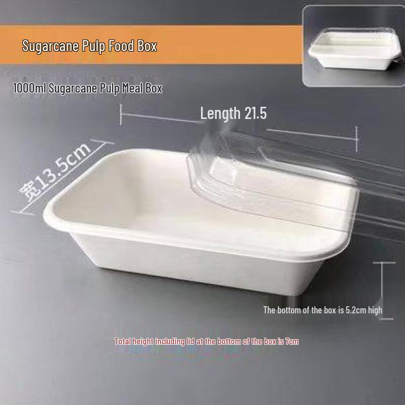 Eco-Friendly Pulp Disposable Food Containers 1000ml