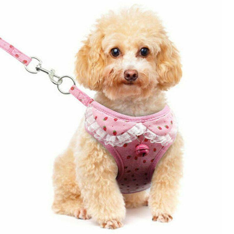 Soft Padded Dog Harness With Easy Hook And Loop Closure For Small And Medium Dogs