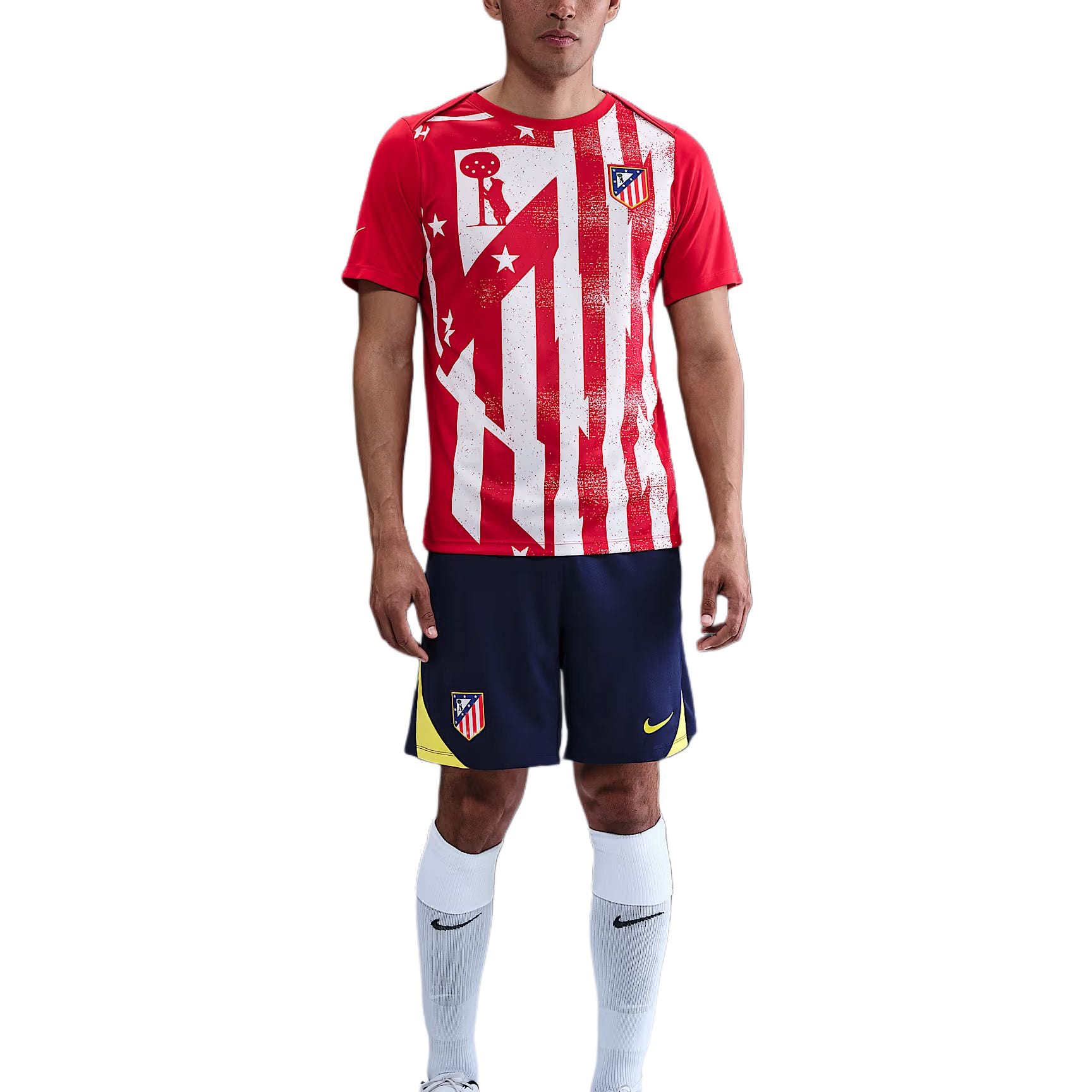 Nike Atletico Madrid Pro Dri FIT