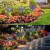1pc Lavender LED Light Outdoor Lawn Garden Light Solar Powered Waterproof  for Halloween Christmas Festive Lawn Landscape Decor