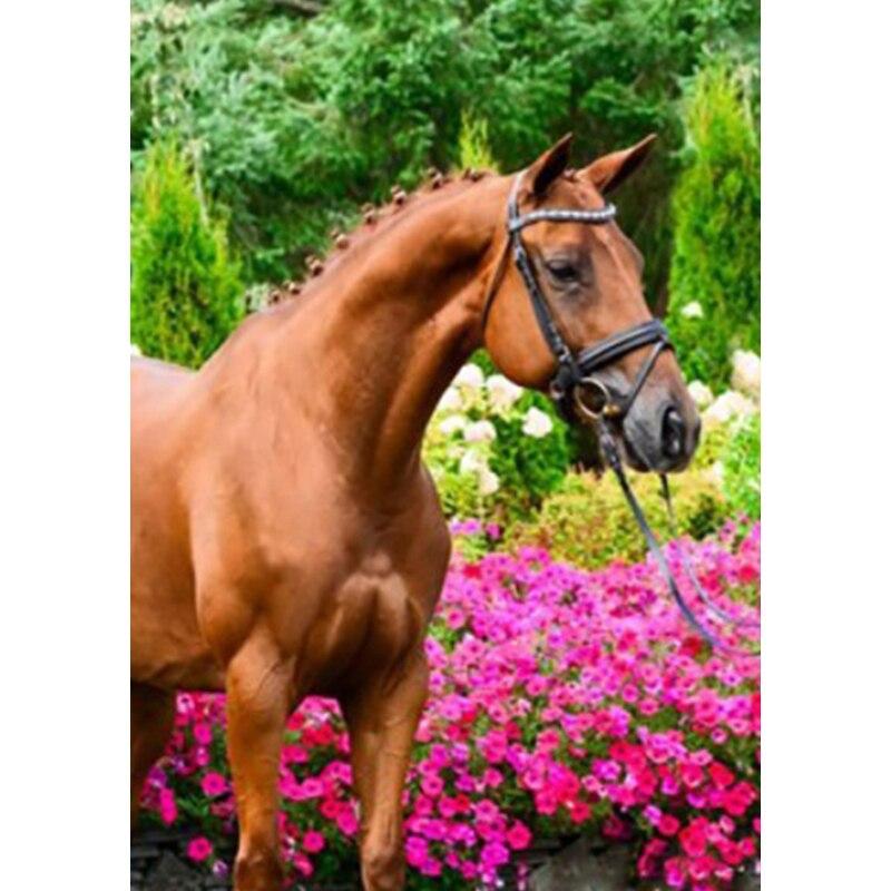 Neue 5D DIY Landschaft Diamant Malerei Pferd Diamant Stickerei Tier Kreuz Stich Volle Runde Bohrer Wohnkultur Manuelle Geschenk